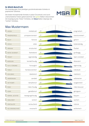 MotivProfilAnalyse_Musterauswertung mit 18 Grundmotiven_deutsch MotivProfilAnalyse_Musterauswertung mit 18 Grundmotiven_deutsch